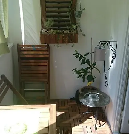 Lemon * Split